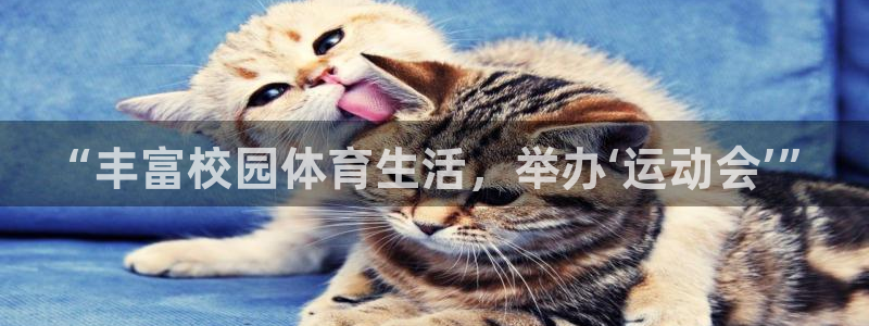 东莞市意昂电子科技有限公司