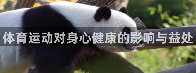 意昂3