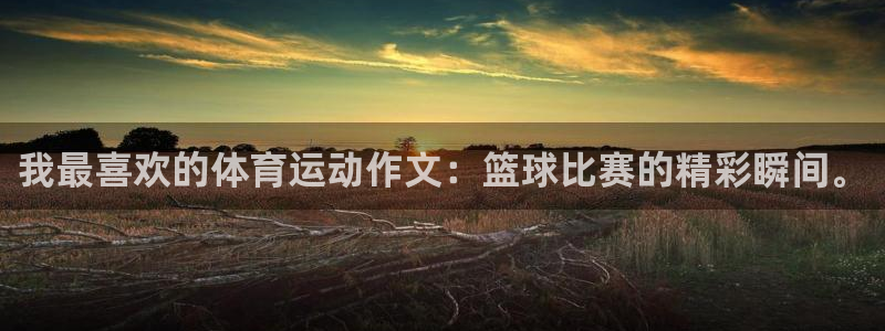 佛山市南海杏鑫机电仪器有限公司