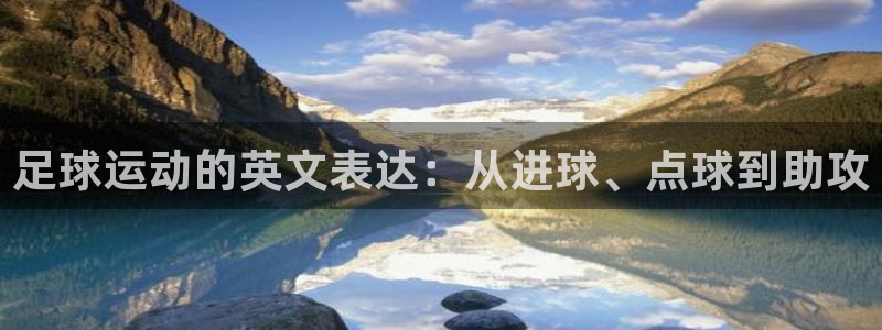 杏鑫集团股票