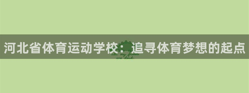 杏鑫4代理