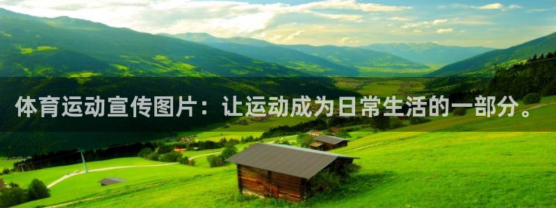 杏鑫体育平台登录入口