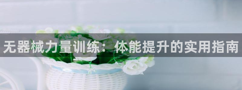 杏鑫凯捷平台