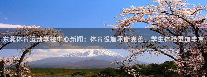 意昂体育注册代理