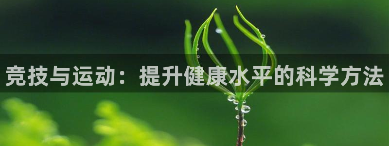 杏鑫体育代理申请流程