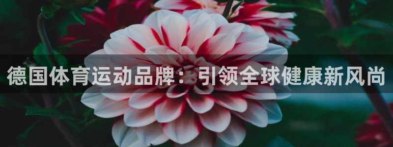 意昂平台