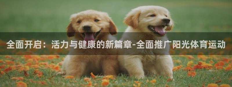 杏鑫能源