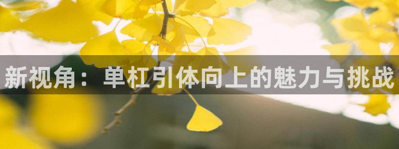 杏鑫平台登录
