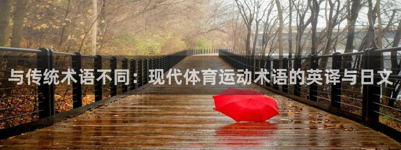 杏鑫体育热门赛事有哪些
