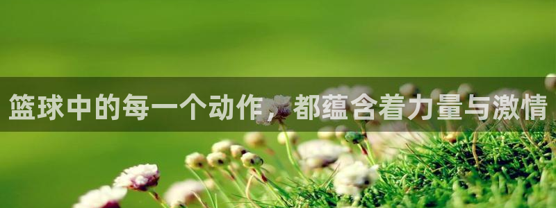 杏鑫2体育