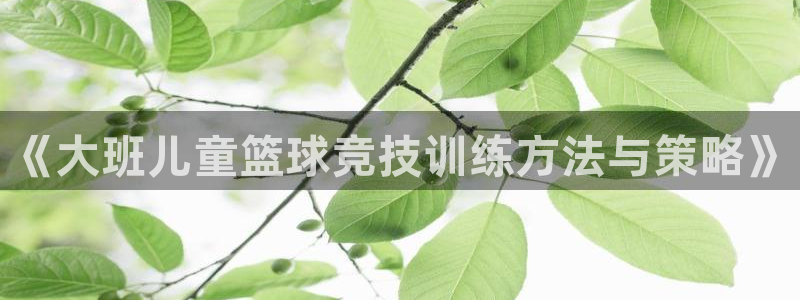 德国意昂集团