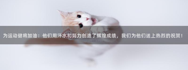 杏鑫凯捷注册