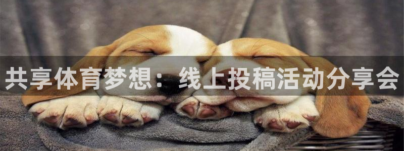 意昂包怎么样
