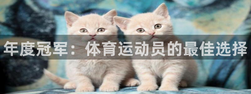 杏鑫体育注册